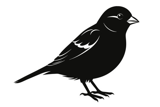recommend clip art:  Beautiful bird sparrow silhouette black vector art illustration