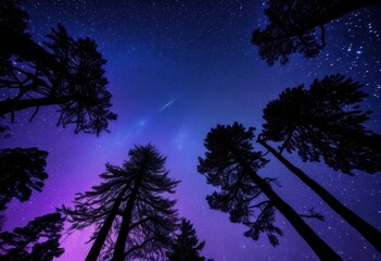 Naklejka premium breathtaking night sky adorned shining stars silhouettes trees under clear cosmic canvas, moon, darkness, landscape, cosmos, astronomy, nature, beauty