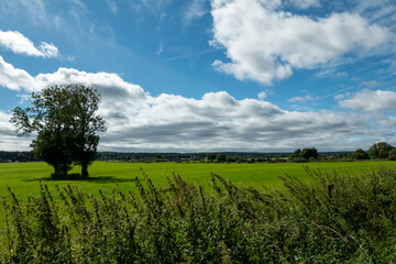 Landschaft am Breinigerberg