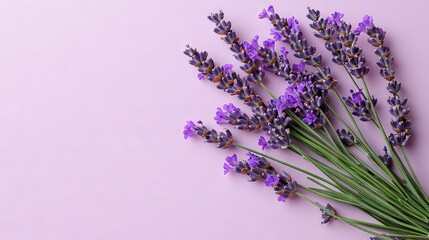   A vase with two bunches of lavender flowers on top of a purple background