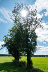 Die Landschaft am Breinigerberg der Kupferstadt Stolberg