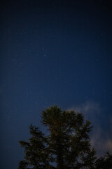 Starry Night Sky with Tree Silhouette and Soft Clouds