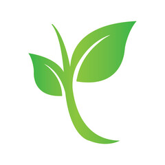 green tea leaf icon vector illustration design template