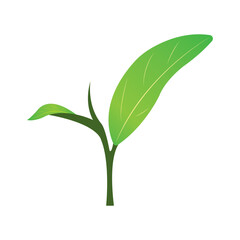 green tea leaf icon vector illustration design template
