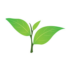 green tea leaf icon vector illustration design template