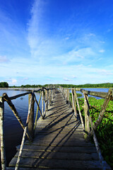 Obraz premium Public attractions. The wooden bridge and the fauna which is identity of Nong Yai Area Development Project Under Royal Initiative in Chumphon Province Thailand