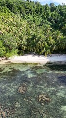 Empty beautiful beach with palm trees. Togean National Park, Bomba Island, Central Sulawesi, Indonesia.