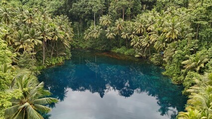 Beautiful tropical lake with crystal clear water and palm trees, Danau Paisu Pok in Luk Panenteng, Indonesia; Danau Paisu Pok Luk Panenteng, Banggai, Sulawesi Tengah, Indonesia