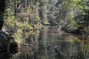 Lagoon