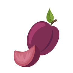 Cartoon ripe fresh purple plum juicy fruit from summer garden isolated on white background