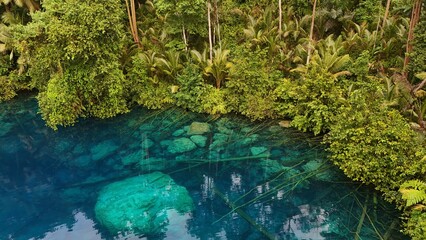 Beautiful tropical lake with crystal clear water and palm trees, Danau Paisu Pok in Luk Panenteng, Indonesia; Danau Paisu Pok Luk Panenteng, Banggai, Sulawesi Tengah, Indonesia