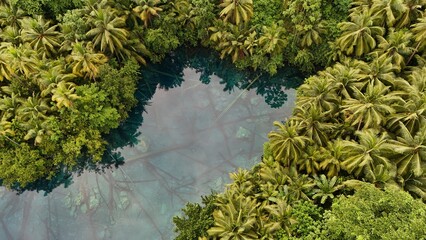 Beautiful tropical lake with crystal clear water and palm trees, Danau Paisu Pok in Luk Panenteng, Indonesia; Danau Paisu Pok Luk Panenteng, Banggai, Sulawesi Tengah, Indonesia