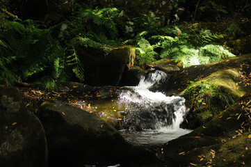 Waterfall