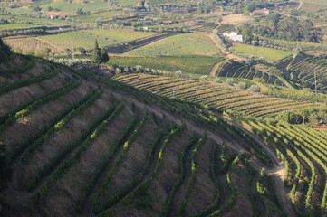 Douro Valley