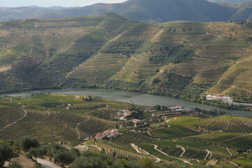 Douro Valley