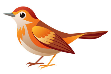 Beautiful bird warbler vector art illustration