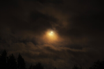 Golden Moonlit Sky with Silhouetted Trees and Clouds