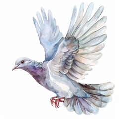 Fototapeta premium Dove watercolor fantasy animal cartoon isolated whitebackground