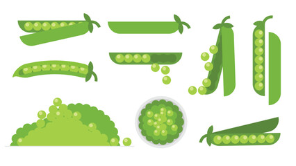 Set of green peas, Farm fresh peas product emblem for grocery shop, Slides, long and cross sections, and different positions, simple flat vector illustration of vegetables and fruits.