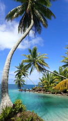 A little cove on Palmyra Atoll
