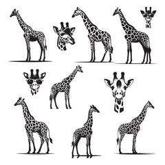 Vector flat hand-drawn giraffe isolated on white background Black and White Giraffe Head Silhouette