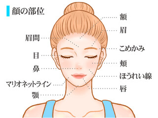 Fototapeta premium 綺麗な大人の女性の顔のパーツ部位の図解イラスト素材2