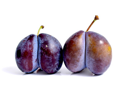 conjoined Purple plums isolated on white background