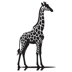 Fototapeta premium Vector flat hand-drawn giraffe isolated on white background Black and White Giraffe Head Silhouette