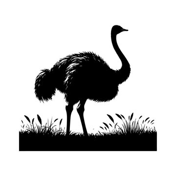 recommend clip art: Ostrich silhouette, vector black color silhouette solid white background 