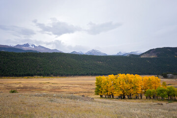 Fall foliage color in Rocky mountain national park. 