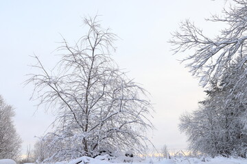 Scandinavian winter landscape in December 2023. Plenty of snow. Stockholm, Sweden.