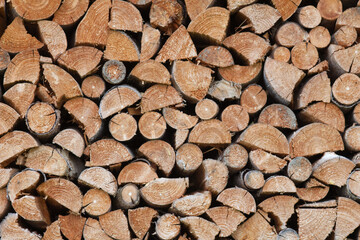 Stacked Firewood Logs