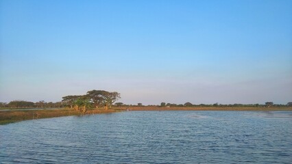 A tranquil scene of a pond with calm waters under a clear blue sky, with a small dirt road and trees in the distance, captured in the peaceful countryside.