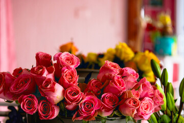 Rose Flowers