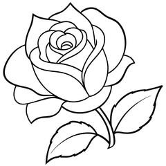 Rose with leaf coloring page for adult and kids 