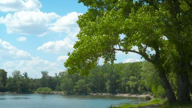 Calm empty river during summer weather. A view of calm landscape of the nice river with green bank in the sun light.