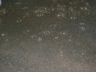 raindrops on pavement at night