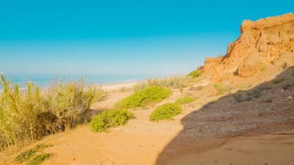 Praia da Falesia, Portugal, in summer