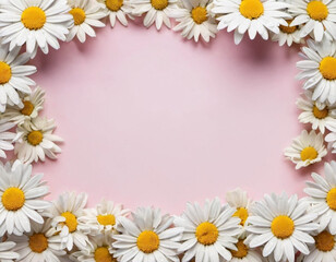 Obraz premium White daisy flowers with yellow centers arranged in border around pastel background. Daisies are fresh and vibrant. Edges of frame. Image provides simple, natural backdrop for text or design elements.