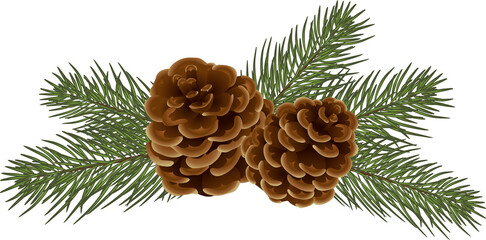 Fototapeta premium pine cones on branch, illustration on transparent, png. drawing of seasonal autumn green fir and cones. Autumn or fall
