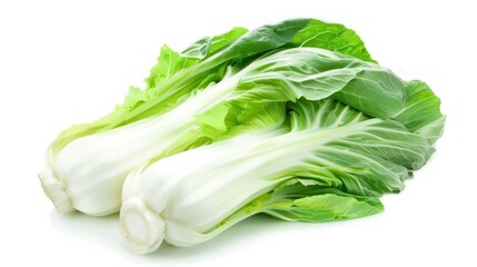 Two Fresh Bok Choy