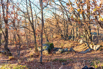 OTOÑO EN LA MONTAÑA DE GREDOS