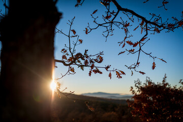 otoño en la montaña gredos 2024