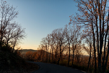 hojas amarilla montaña otoño