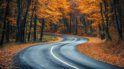 Fototapeta premium Autumn landscape with a winding road through a forest of vibrant orange and yellow leaves, peaceful and scenic countryside