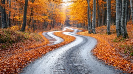 Autumn landscape with a winding road through a forest of vibrant orange and yellow leaves, peaceful and scenic countryside