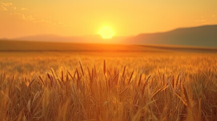 Worldwide Food Shortage: A Representation of Scarcity and Hunger