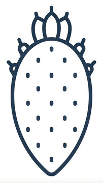 recommend clip art: prickly pear icon vector from desert collection. Thin line prickly pear outline icon vector illustration. Outline, thin line prickly pear icon for website design and mobile, app development.