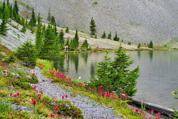 lake in the mountains with flowers and hikers