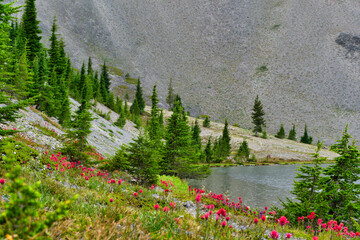 lake in the mountains